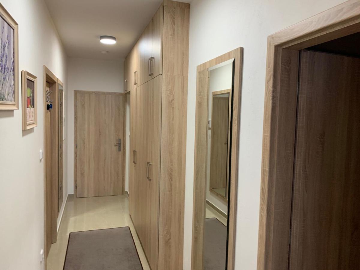 Apartment Rezidence - Javor & Wellness Zelezna Ruda Exterior foto