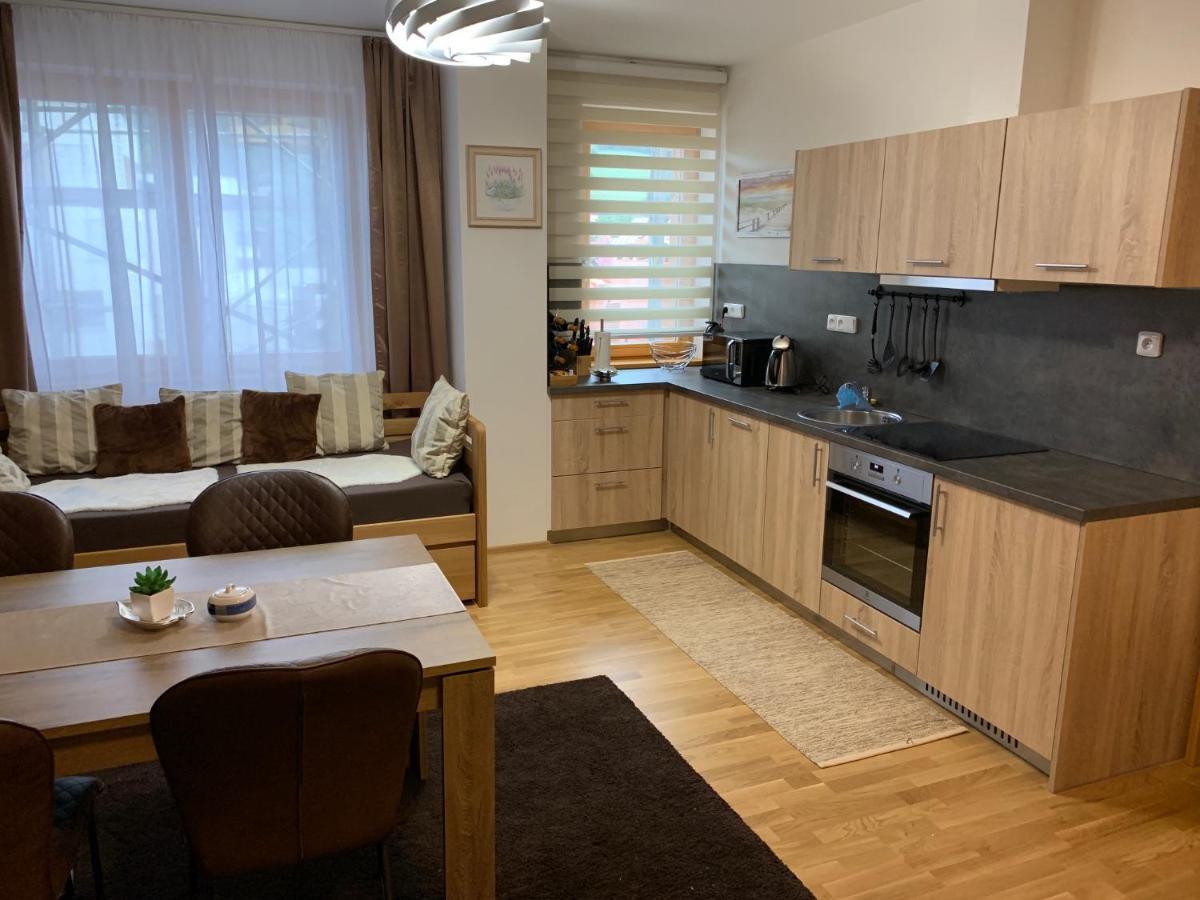 Apartment Rezidence - Javor & Wellness Zelezna Ruda Exterior foto