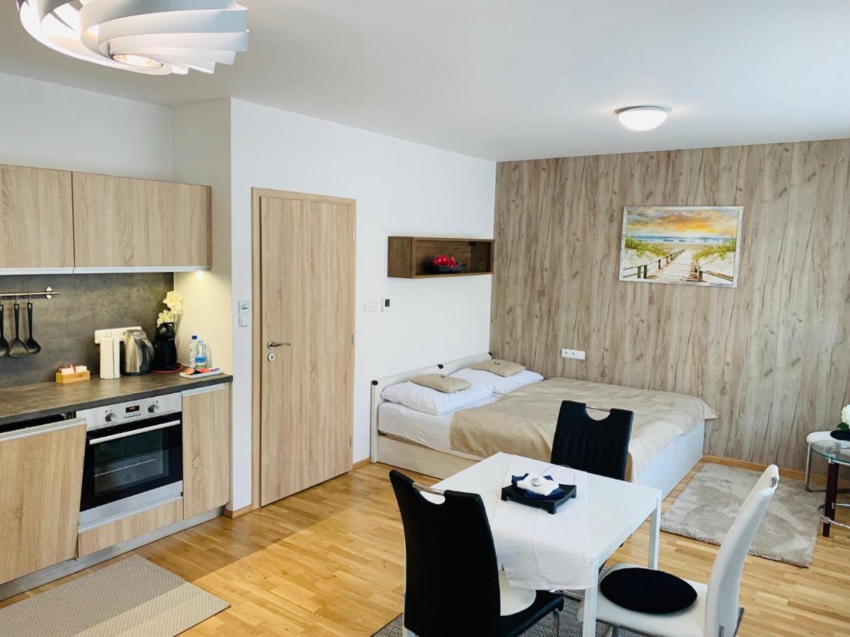 Apartment Rezidence - Javor & Wellness Zelezna Ruda Exterior foto